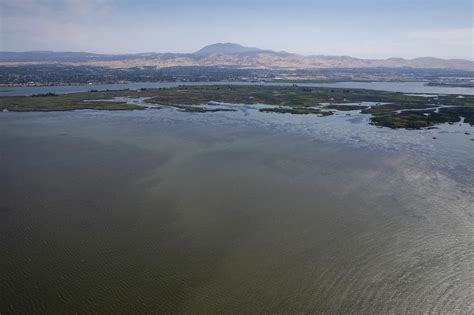The Bay-Delta ecosystem is collapsing. California just unveiled rival rescue plans